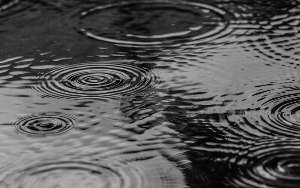 crawl space waterproofing