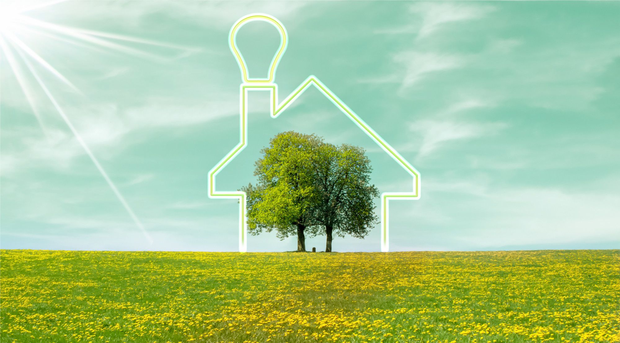 Yellow house logo on trees in pasture