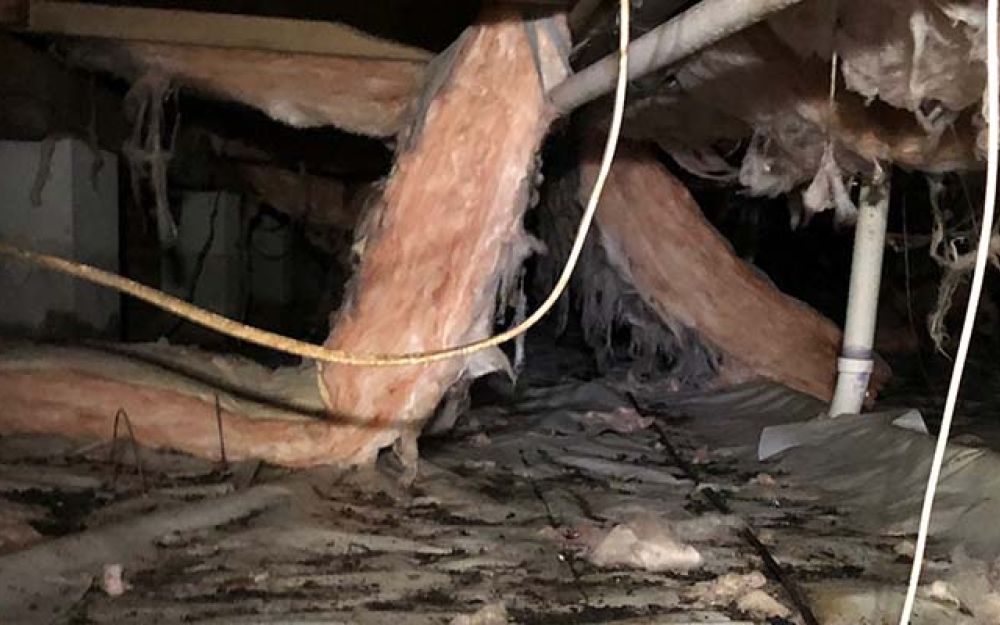 Torn up insulation in crawl space