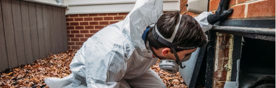 Structural Repair Simplified: A Guide to Crawl Space Foundation Repair ...
