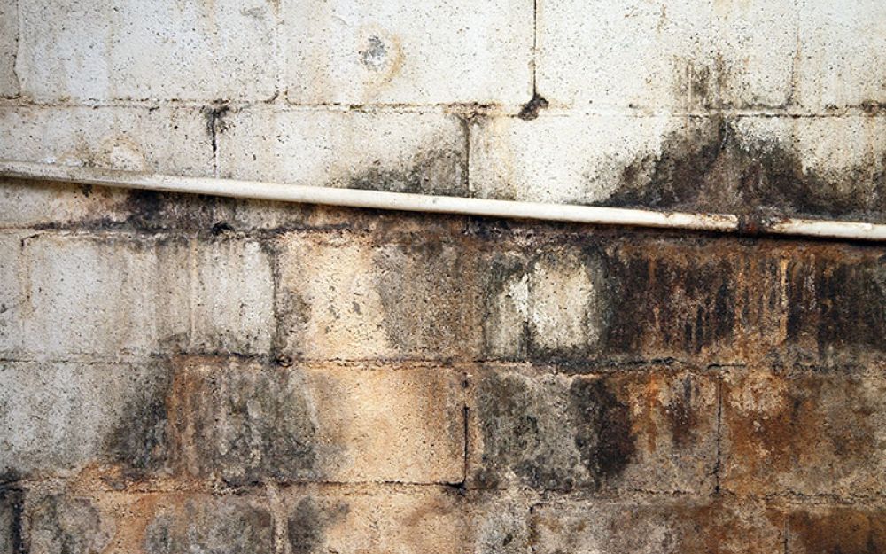 Dangerous-Crawl-Space-Mold-8-Tips-on-How-to-Prevent-it