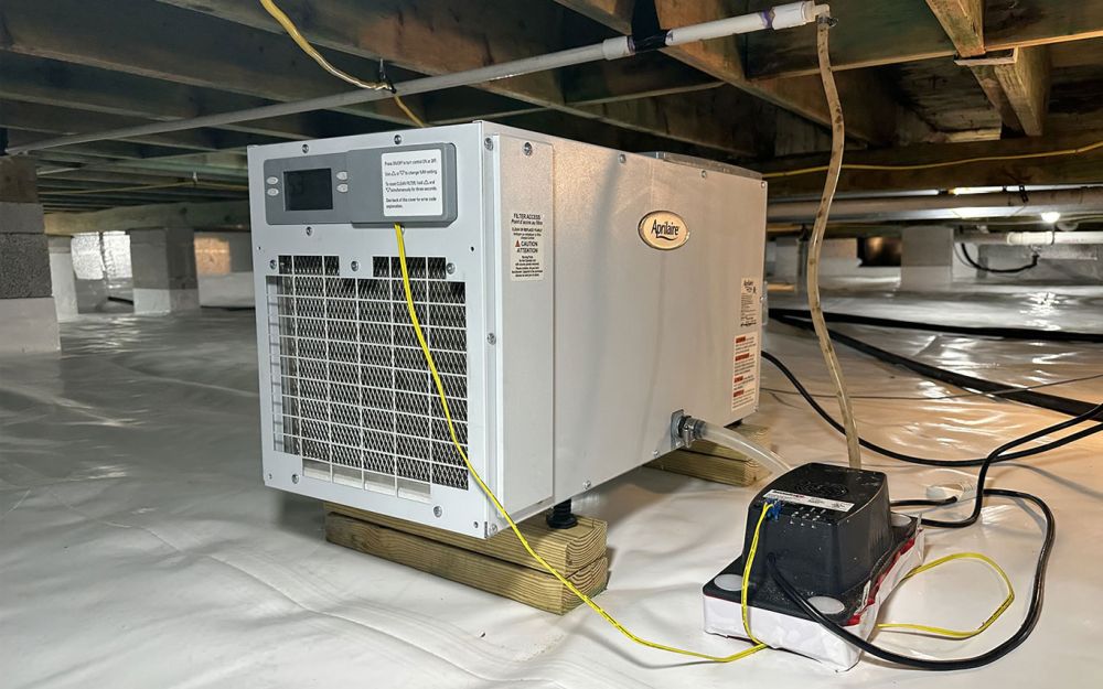 Does-Your-Home-Need-Crawl-Space-Dehumidifiers