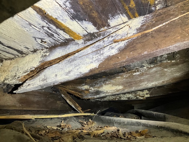 Crawl Space Mold Wood Rot Mildew Broken Joist