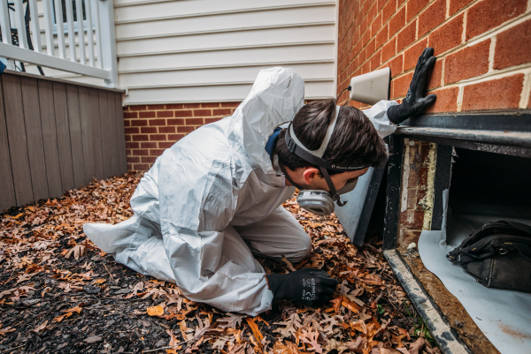 Crawlspace inspection and repair