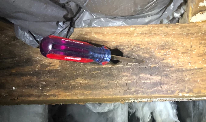Wood rot is a sign that your foundation is decomposing from moisture