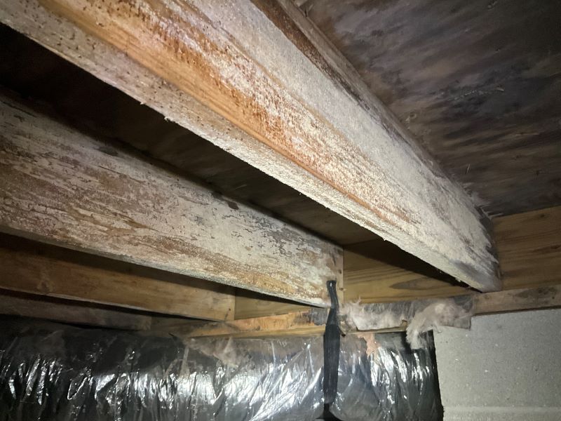 How to Remove Mold from Crawl Space Floor Joists Safely
